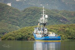 RonShue_Katmai2019-20